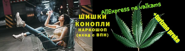 Альфа ПВП Анива
