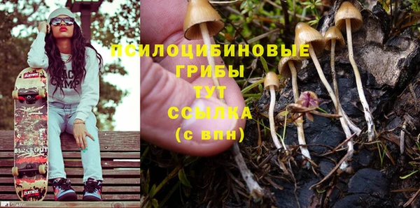 соль ск Медвежьегорск