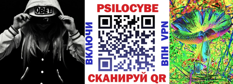 Псилоцибиновые грибы Psilocybe  Ковров 