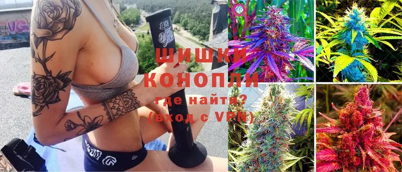 Конопля план  Ковров 